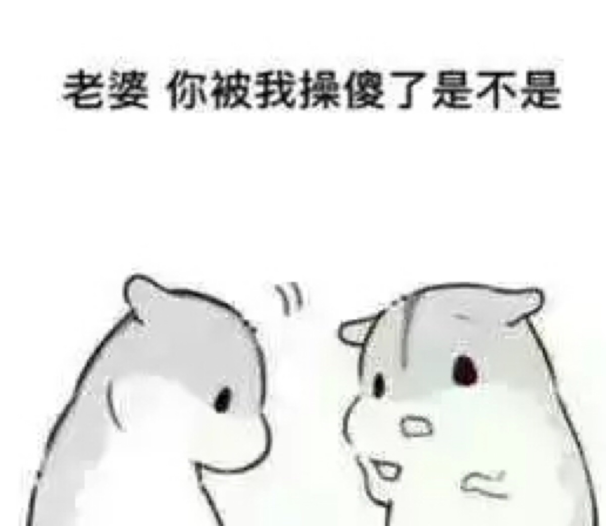 小仓鼠表情包