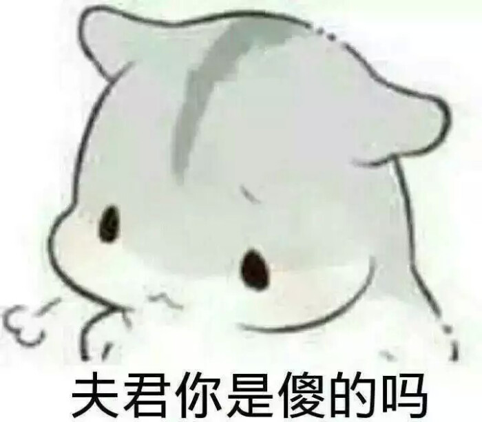 小仓鼠表情包
