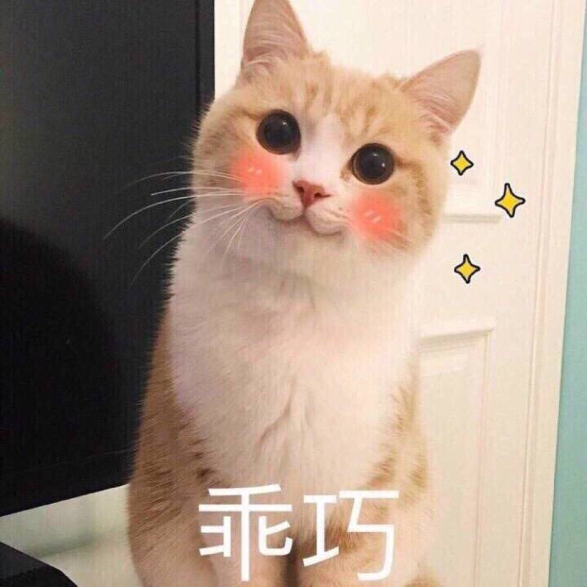 搞笑斗图表情包 喜欢收藏 关注 谢谢