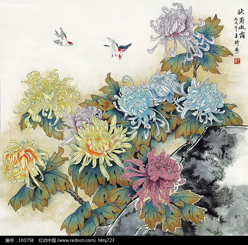 工笔菊花
