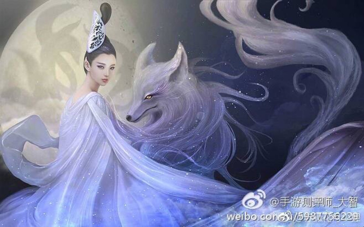 白狐- 堆糖,美图壁纸兴趣社区