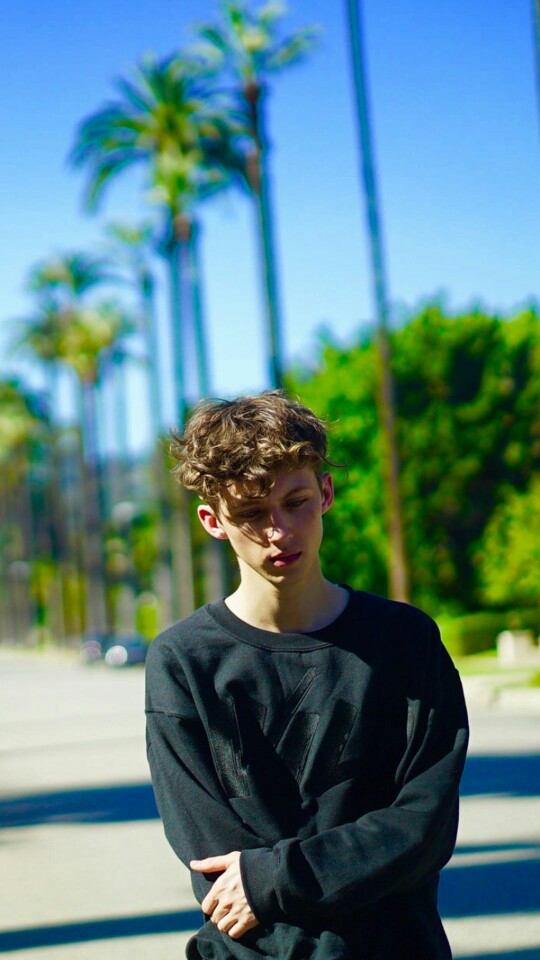 戳爷troye sivan 壁纸