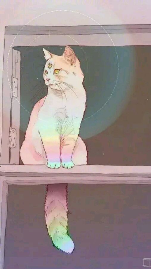原宿背景图