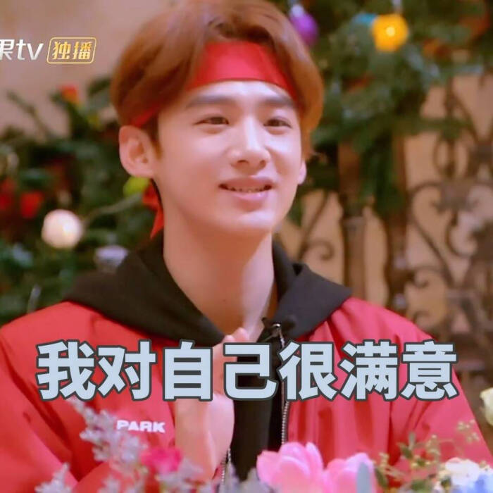 白敬亭 表情包