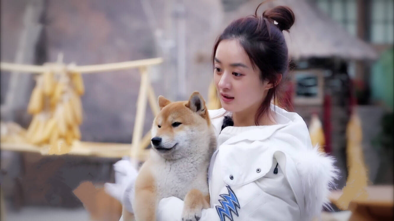 赵丽颖 向往的生活 壁纸 高清 头像
