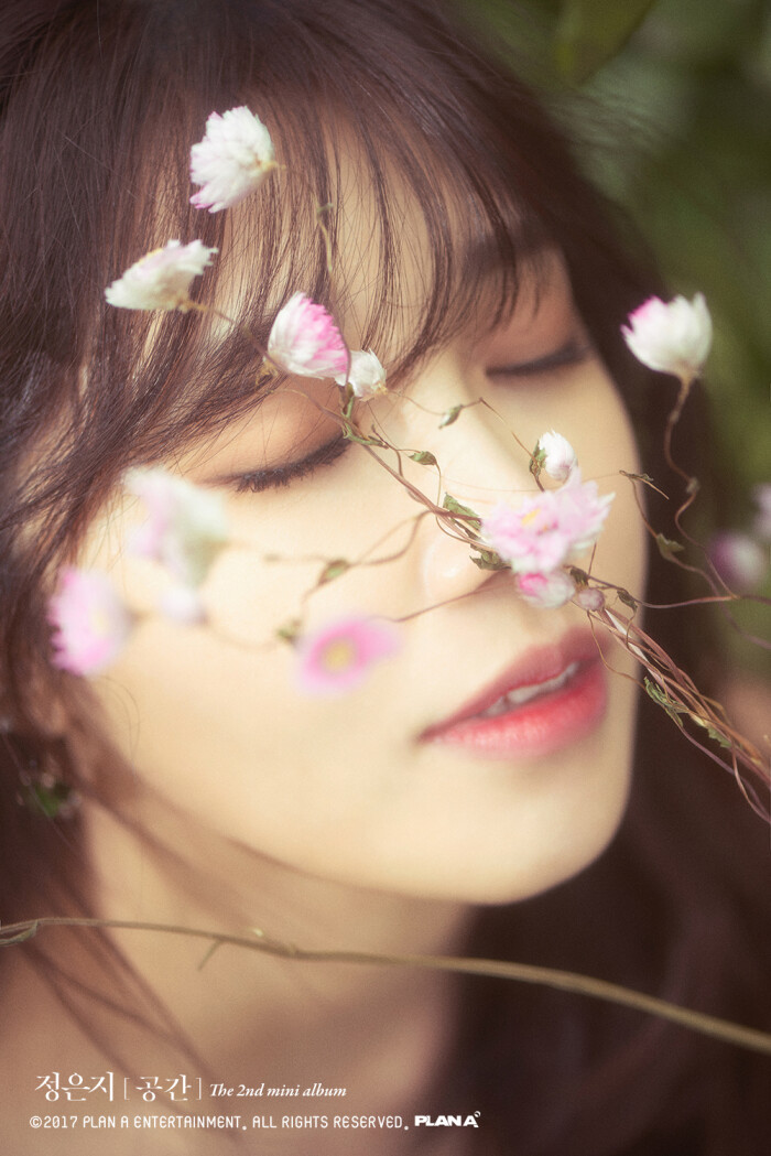 apink 郑恩地 写真