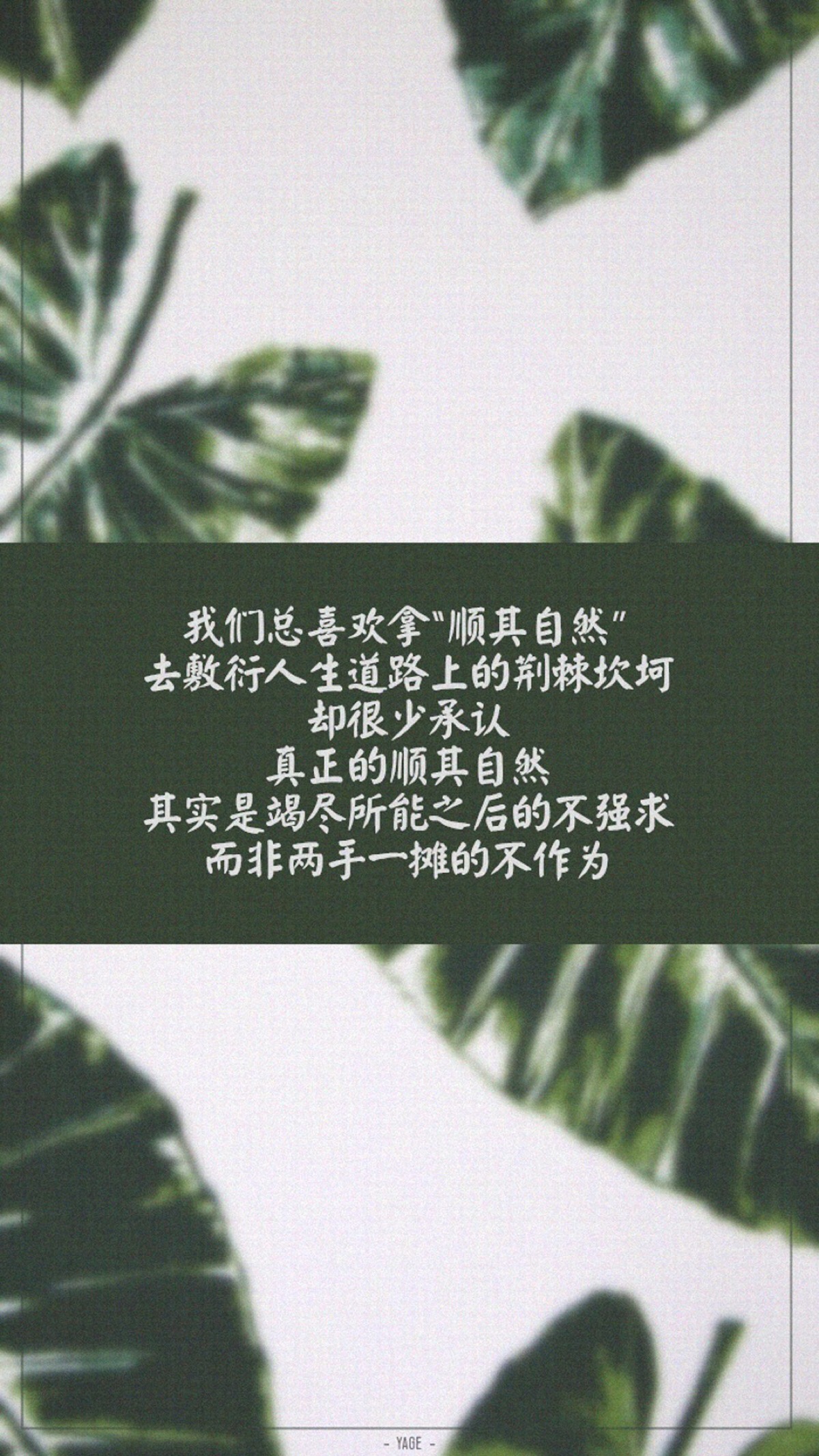 却很少承认 真正的顺其自然 其实是竭尽所能之后的不强求 评论 收藏