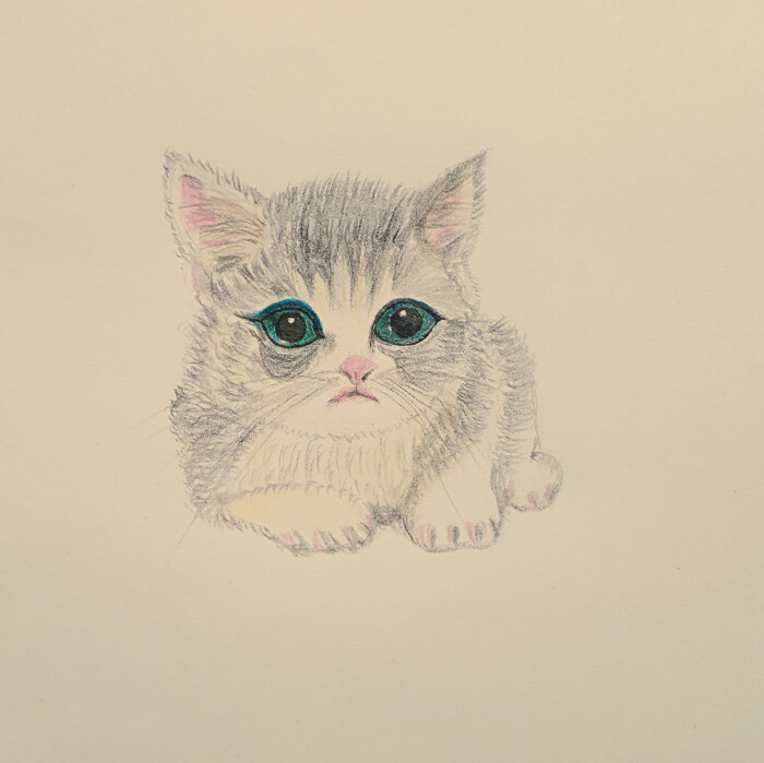 我的彩铅画 小猫咪