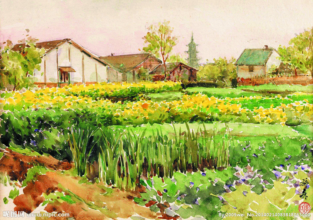 农家小景 水彩风景画《菜园》