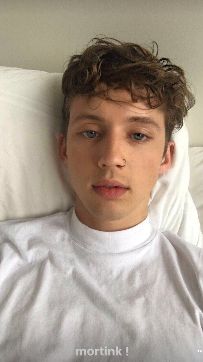 troye sivan 戳爷ins story 截图