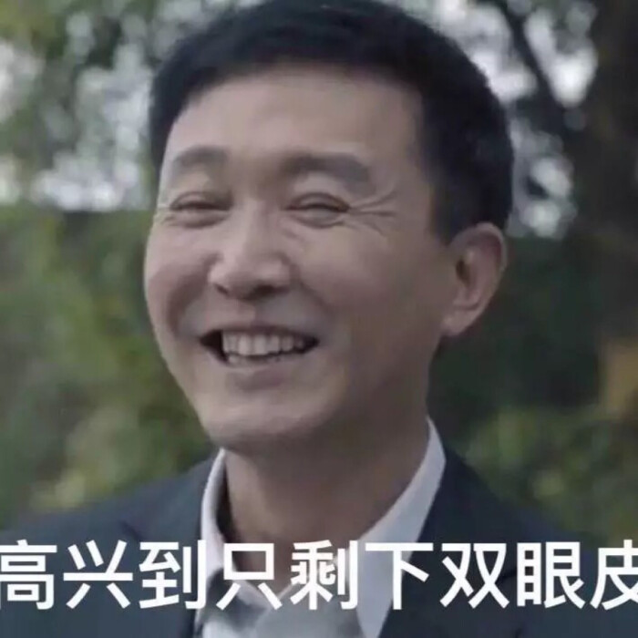 人民的名义表情包