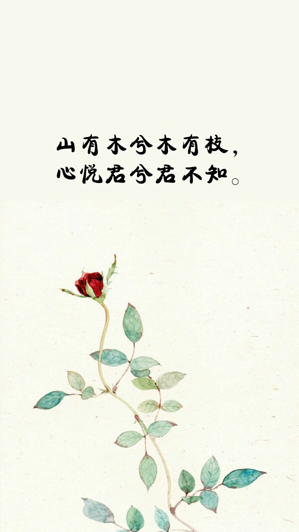 短句 长句 语录 歌词 暖心 情话 便签 备忘录 句子控 文字控 心情文字