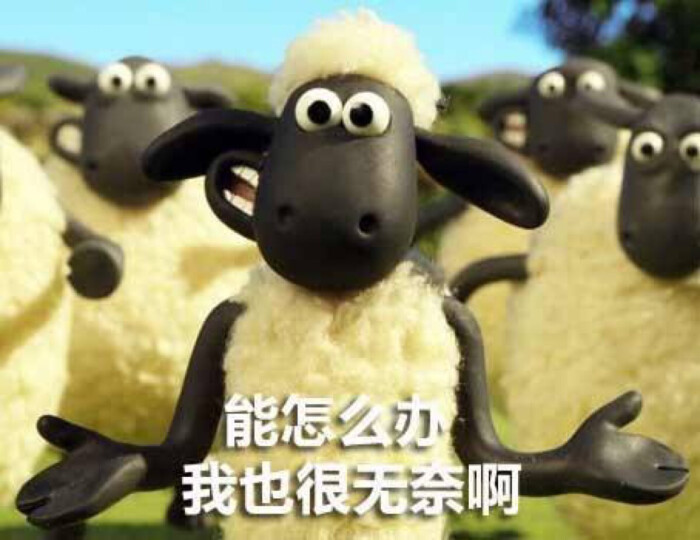 小羊肖恩表情包,取自网络,我只是个搬运工69♀