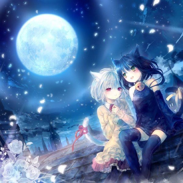动漫 二次元 姐妹 闺蜜 兽耳 猫咪 唯美 治愈 蓝 黑白 星月