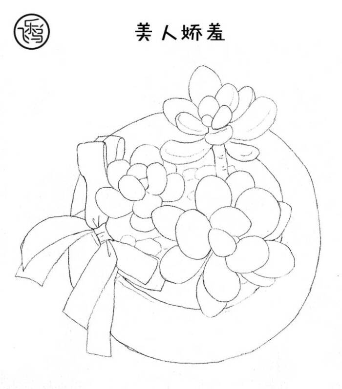 手绘素材# 【多肉线稿】素材来自飞乐鸟出版的《水彩多肉绘》,建议用