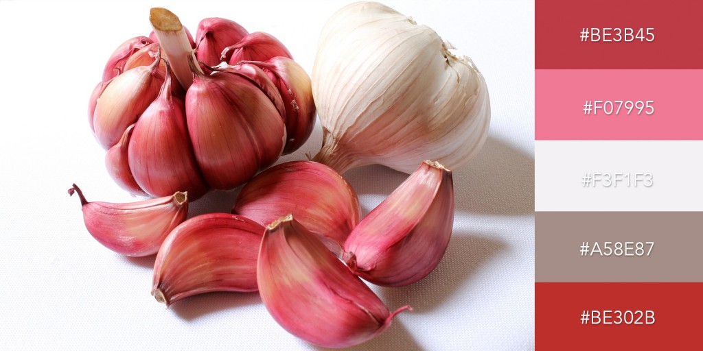 purple garlic