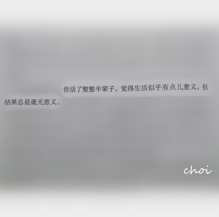 摘 你活了整整半辈子,觉得生活似乎有点儿意义,但结果总是毫无意义.