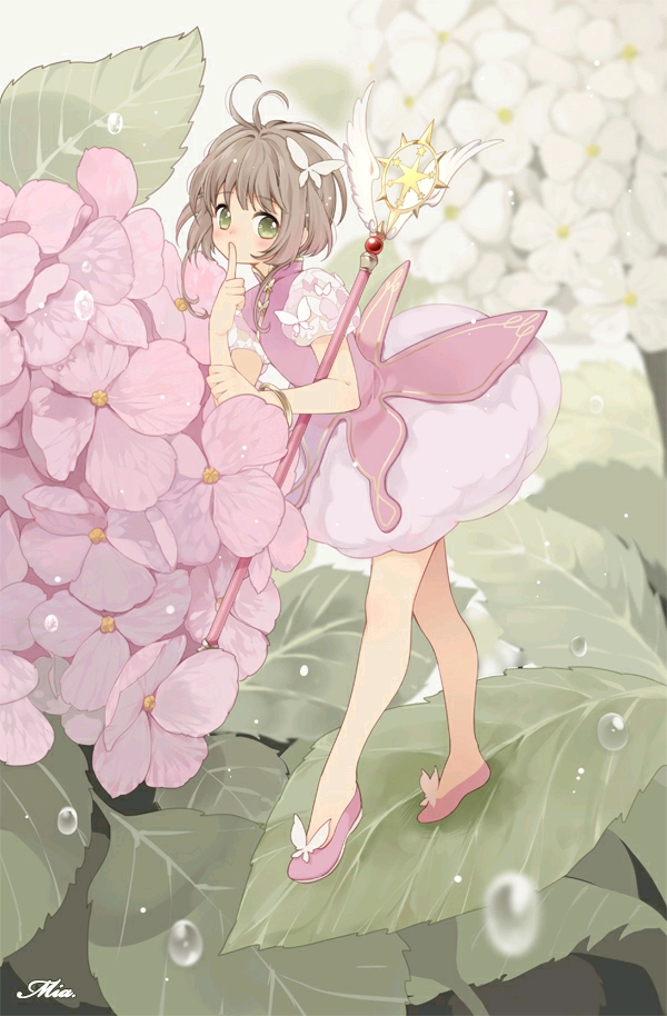 二次元 插画 清新 华丽 唯美 可爱 意境 木之本樱 魔卡少女樱 紫阳花