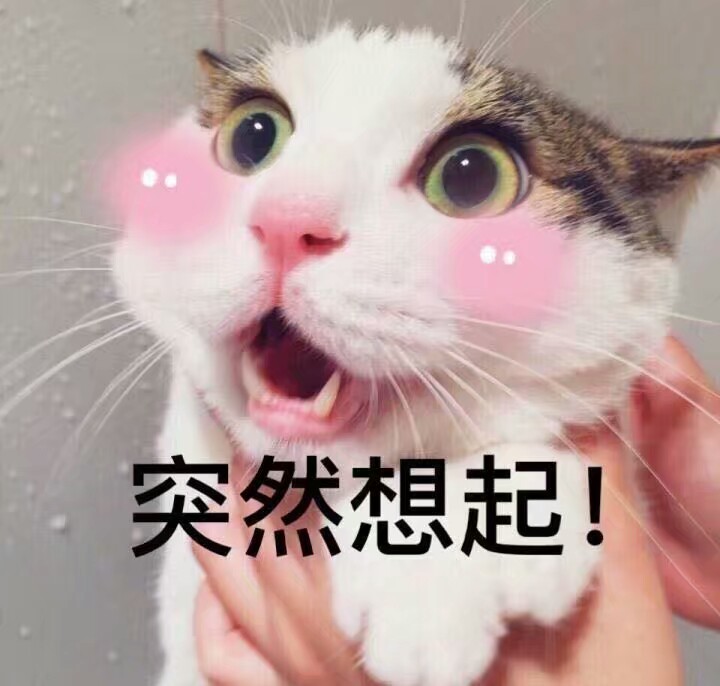 噗看我滑稽迷人小表情
