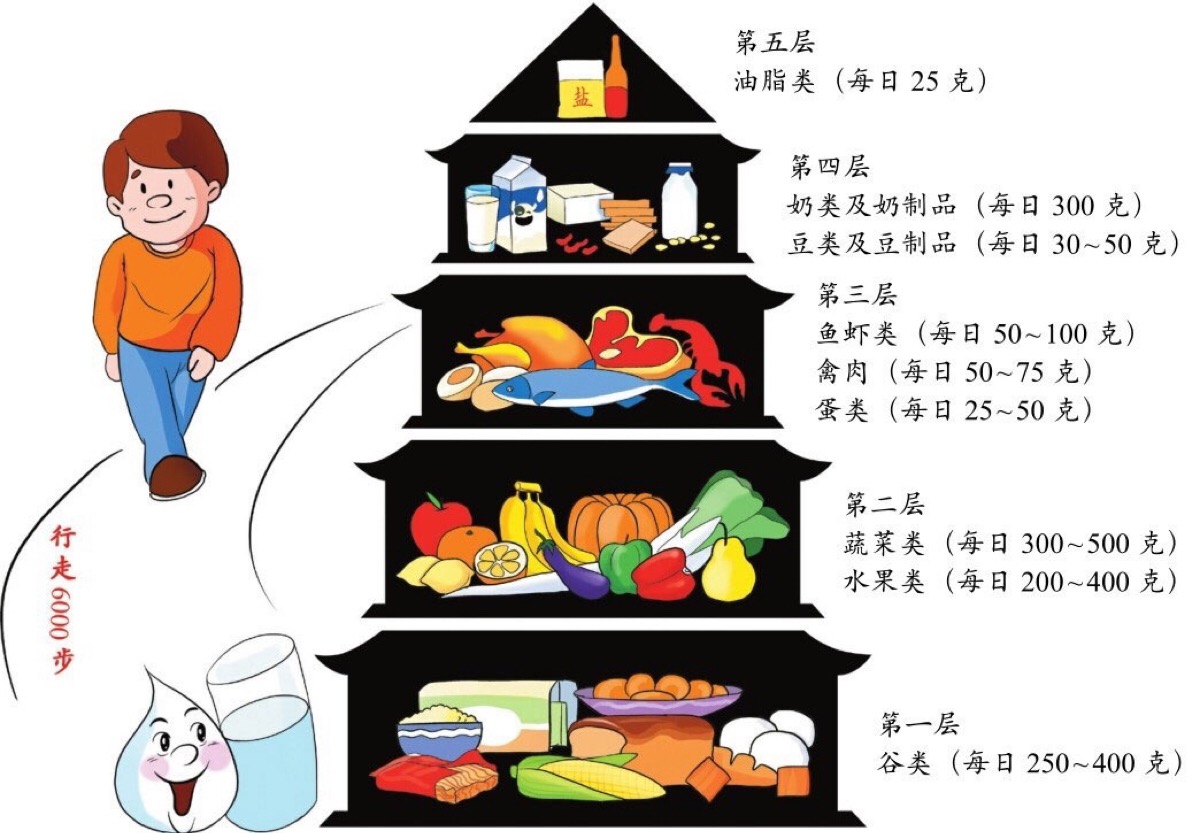 膳食宝塔