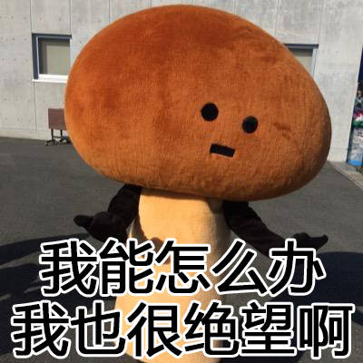 我能怎么办啊我也很绝望啊-堆糖,美好生活研究所