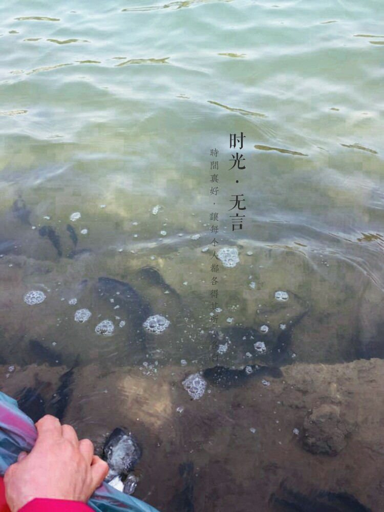 放生