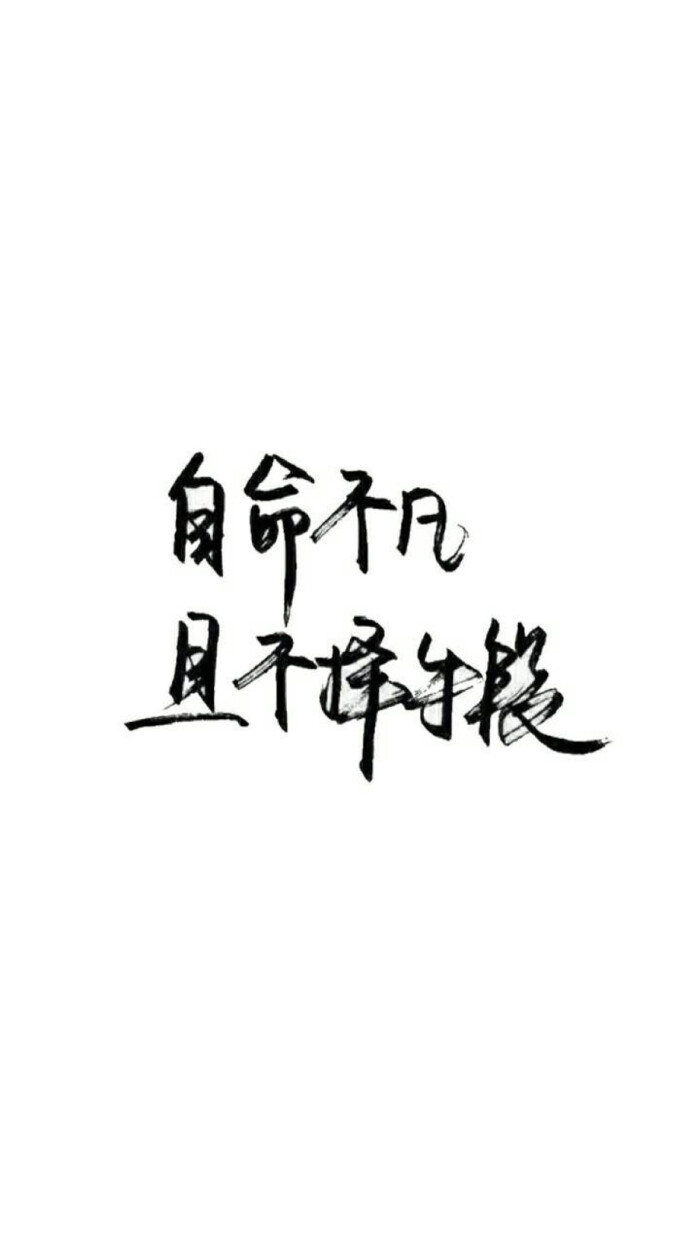 文字壁纸,文字控,简洁壁纸,白底黑子壁纸,励志壁纸.