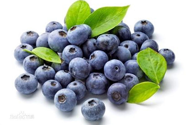 蓝莓果实中含有丰富的营养成分,具有防止脑神经老化,保护视力,强心