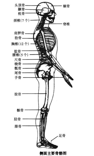 董苳〔我喜欢的唯美〕