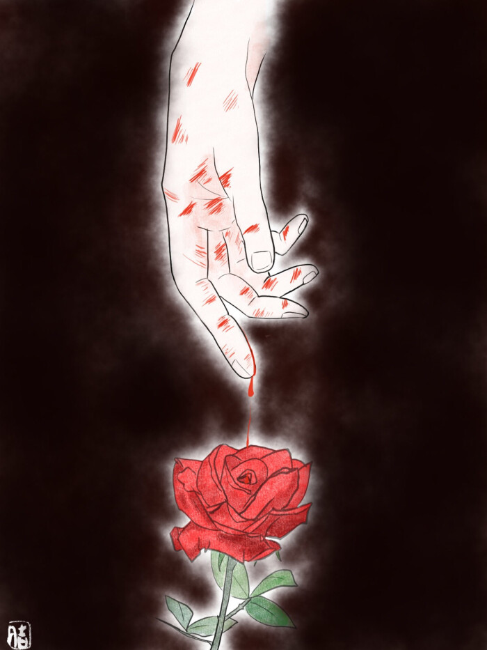 手,玫瑰,鲜血