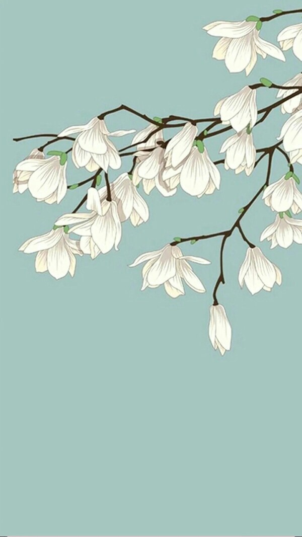 玉兰花壁纸