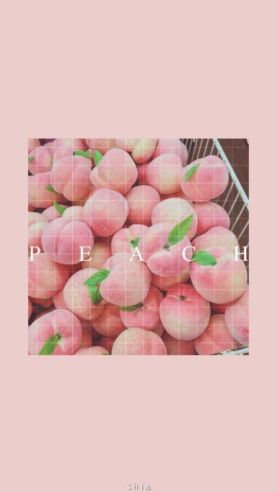 桃子～壁纸