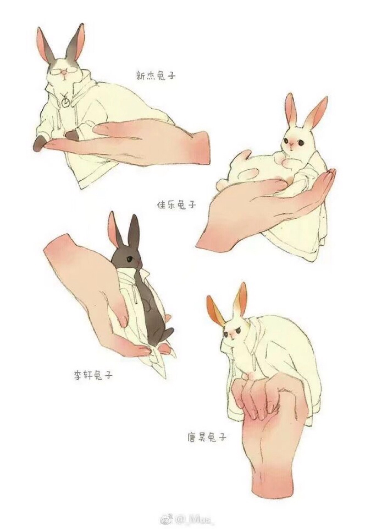 抱兔子 