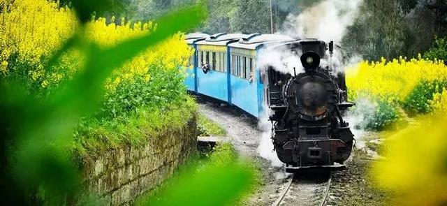 乐山嘉阳小火车嘉阳小火车位于乐山市犍为县芭沟镇,是世界上唯一仅存