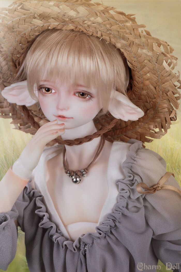 bjd sd 人偶 娃娃 charmdoll 4分狐狸