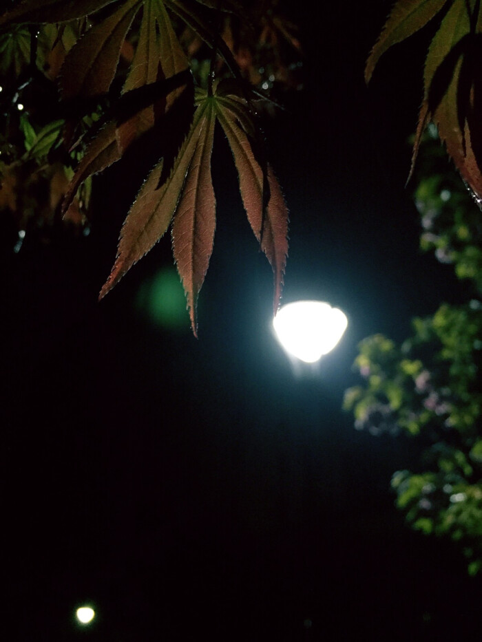 凌晨三点 雨起而喧闹的夜