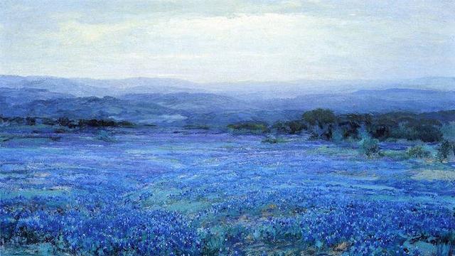 美国德克萨斯州印象派画家 julian onderdonk的蓝色花田