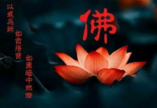 禅悟
