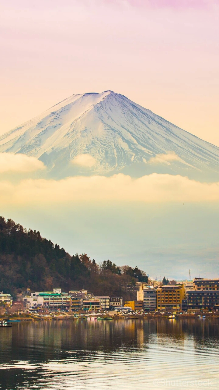 五一期间,最好前往日本北海道地区的弘前公园,五棱郭公园,清隆寺等地