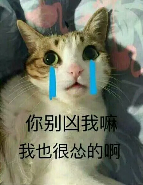 我也很怂啊