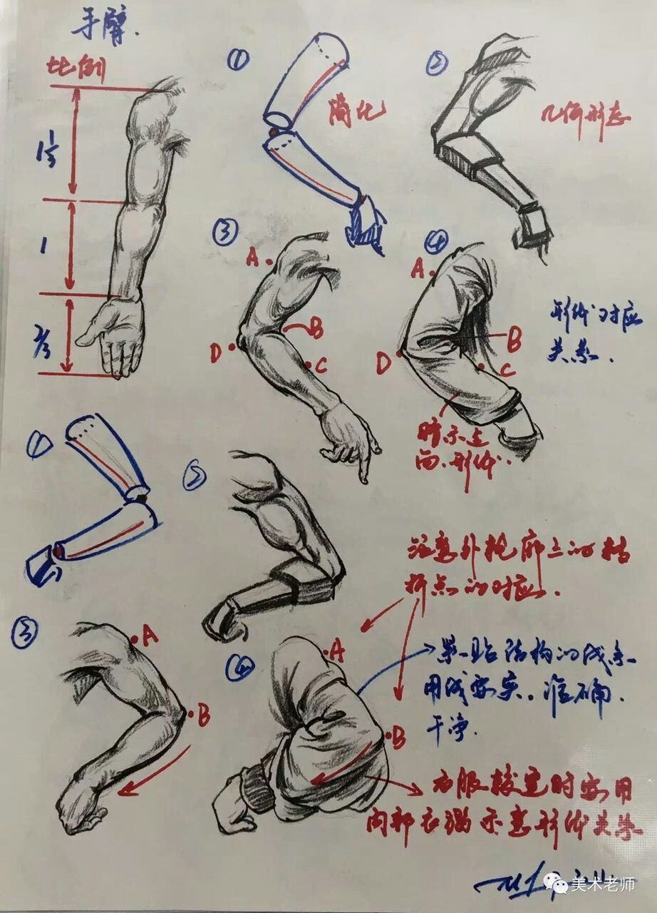 速写手臂结构详解