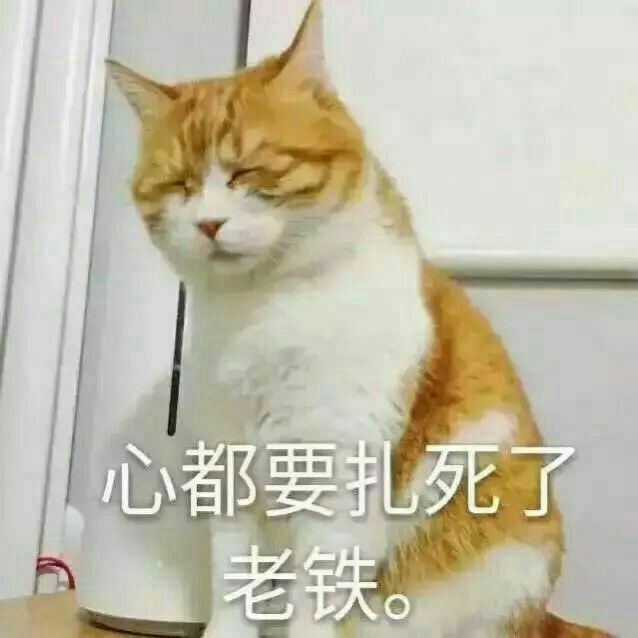 扎心了老铁表情包