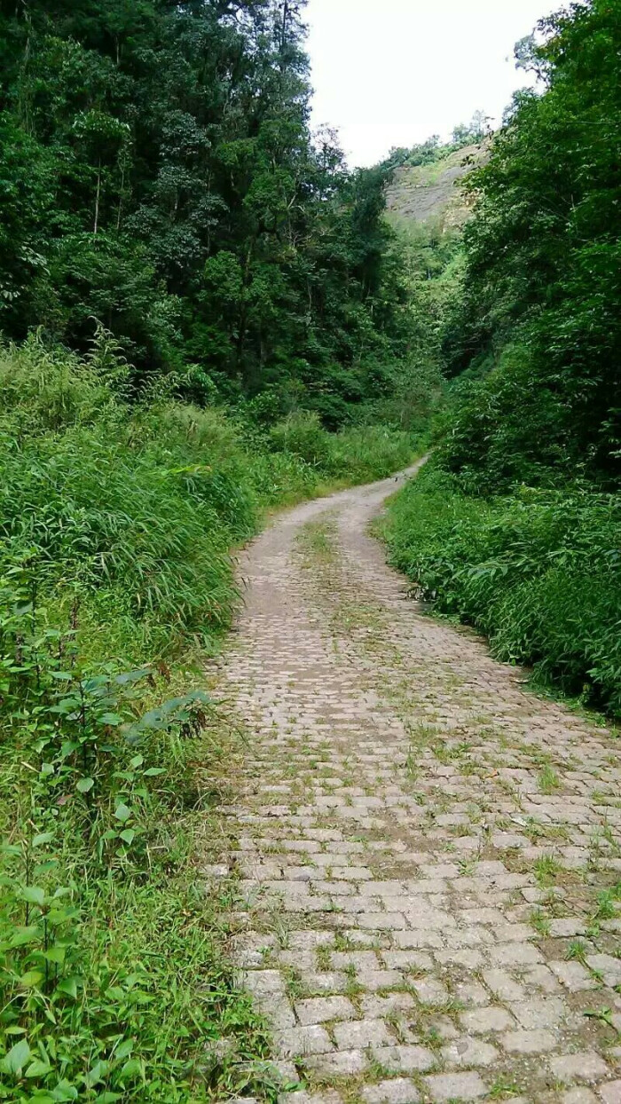 山间小路