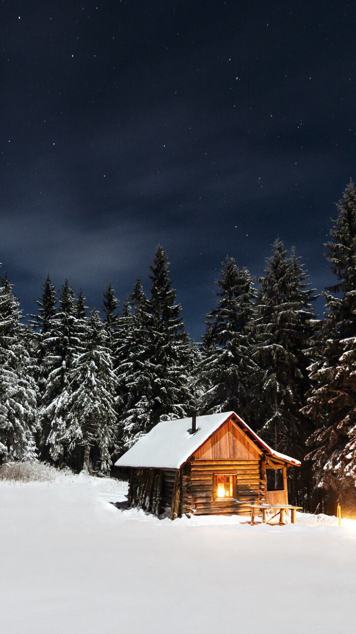 雪夜里的小屋(来源网络 侵删)