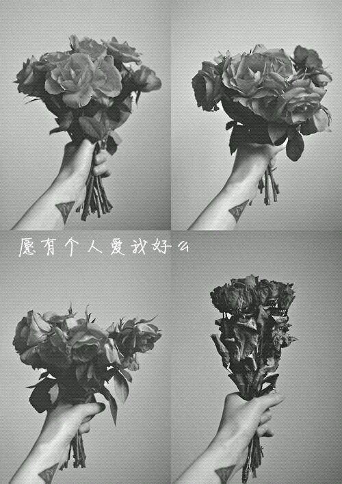【壁纸控】黑白控,手拿玫瑰花,意境大图