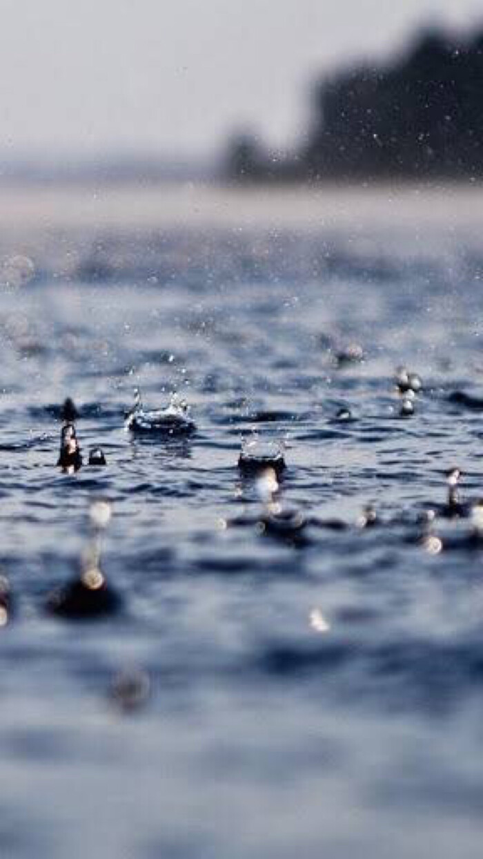 下雨天 雨水壁纸