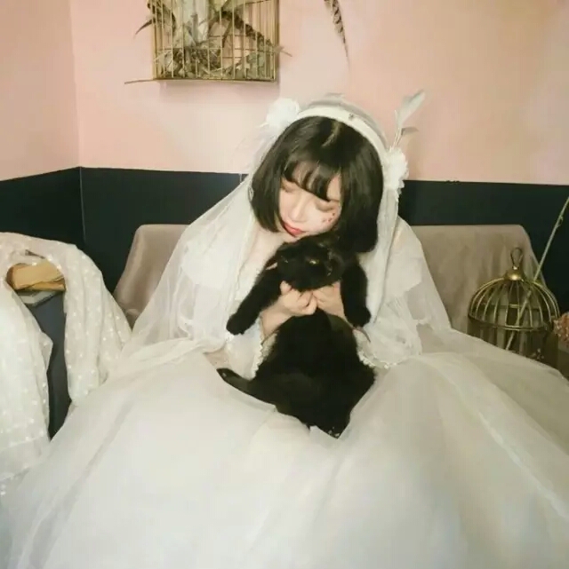 抱猫女头