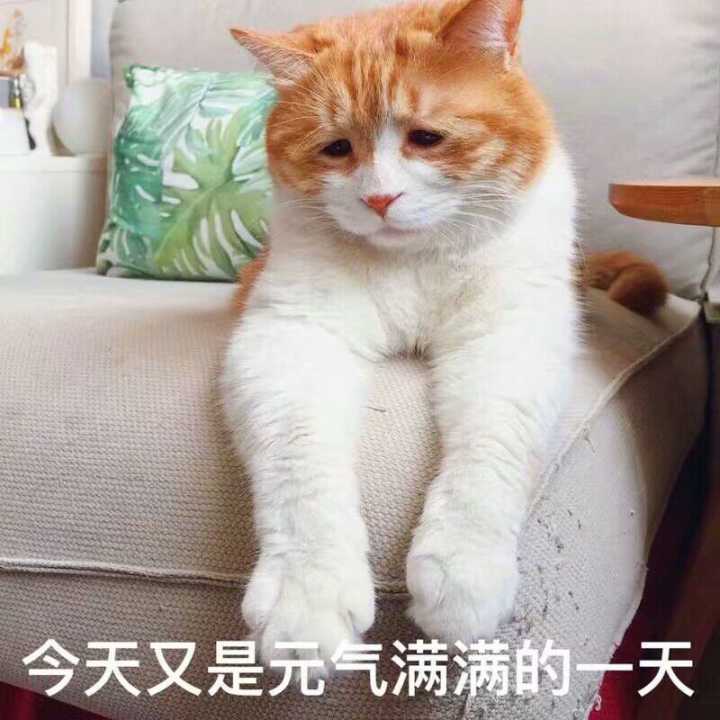 元气满满的一天