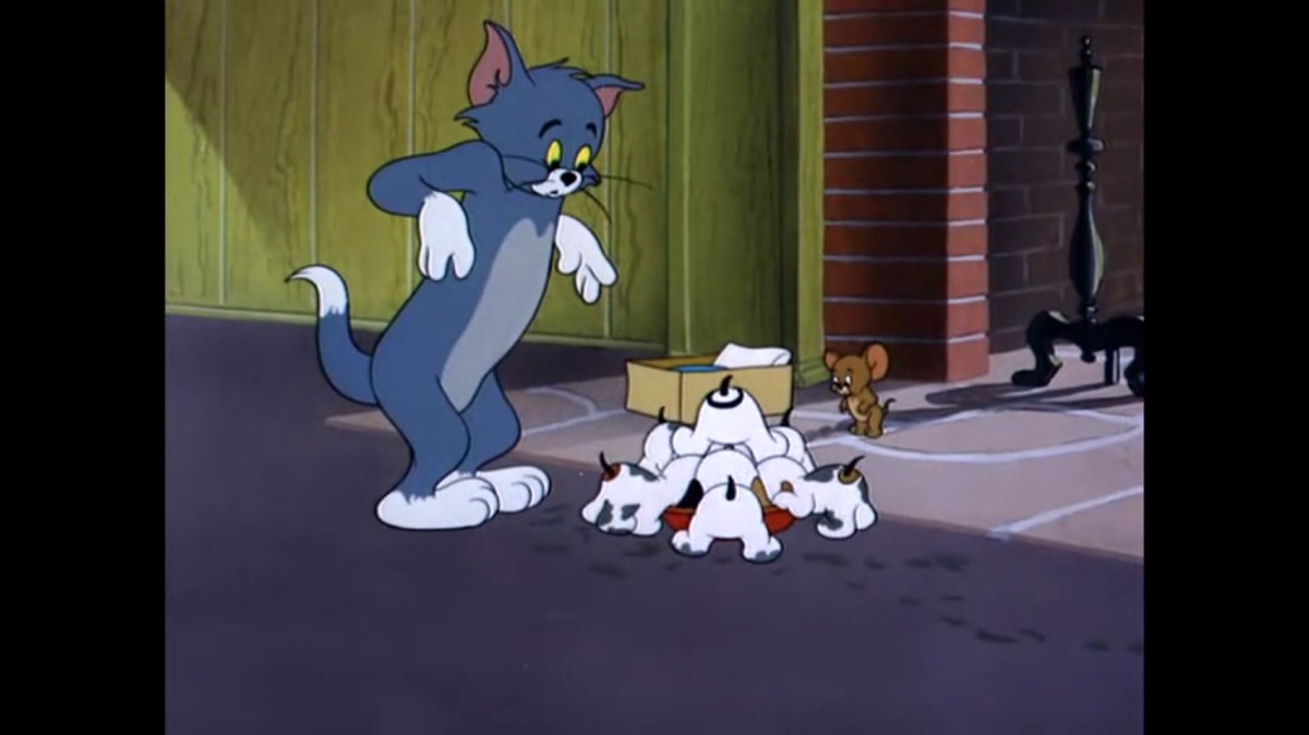 猫和老鼠 tom and jerry