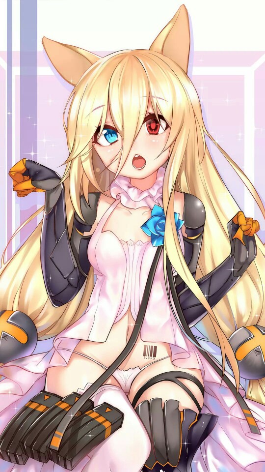 兽娘
